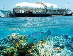 Great Barrier Reef Adventure