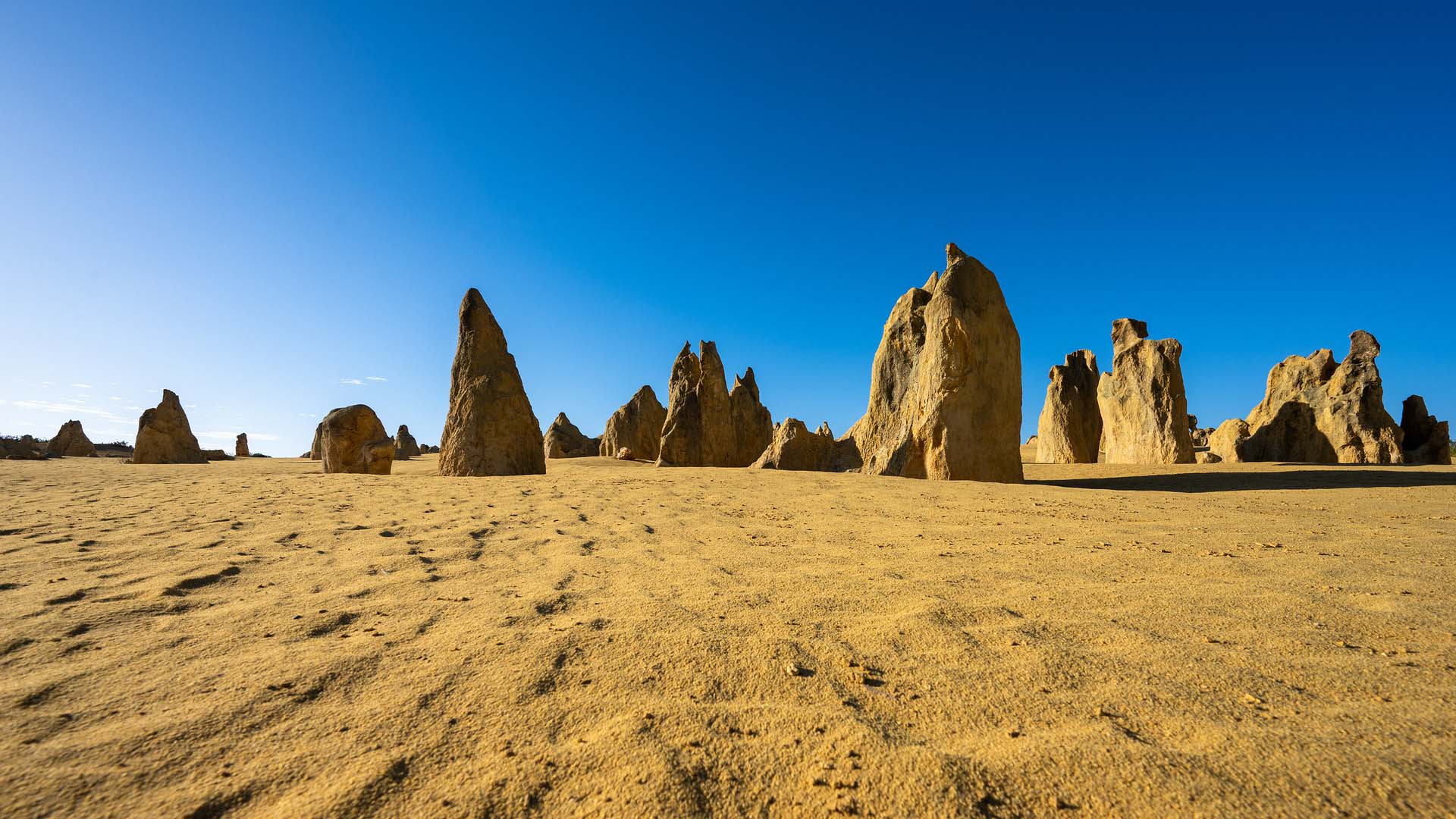 Pinnacles Tour