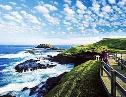 Phillip Island, Penguins, Koalas & Wildlife