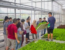 Koh Fah Technology Farm Tour